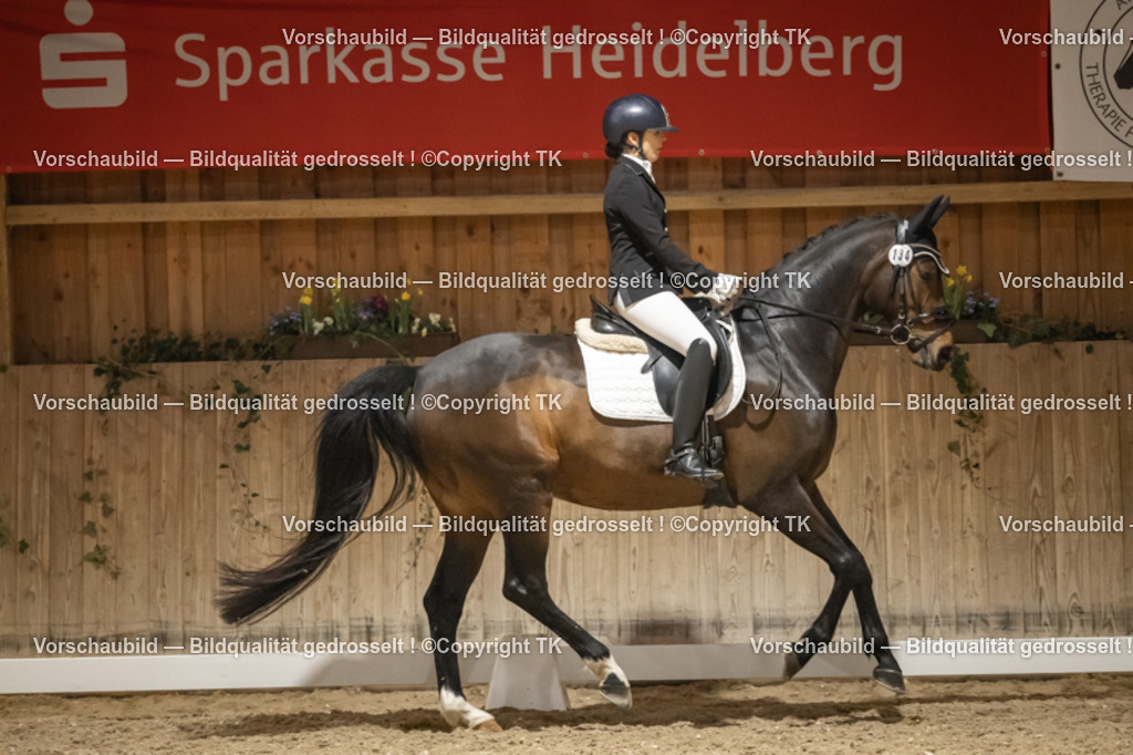 _D5A0921 | Emotionale Pferde- & People-Fotografie rund um Heidelberg, Leimen & Umgebung. Natürliche Fotos von Pferd, Mensch & Familie. Jetzt Termin sichern!