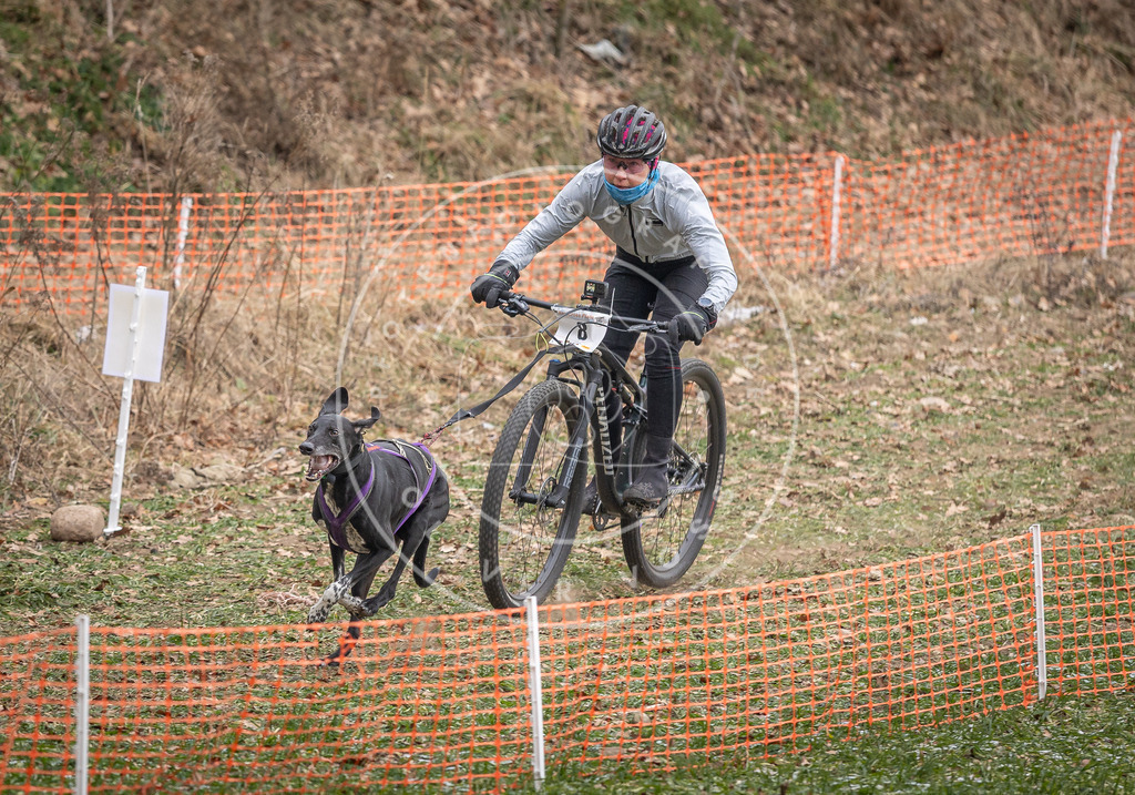 Pfotenfotografie_DV3A6523 | Hundefotografie, Tierfotograf, Pfotenfotografie, Fotoshooting Hund, Hunde Portrait, Hundesport, Hundeportraits, Heideshooting, Hunde, Sportfotograf, Hundefotograf, Turnierhundsport, THS,  - Realisiert mit Pictrs.com
