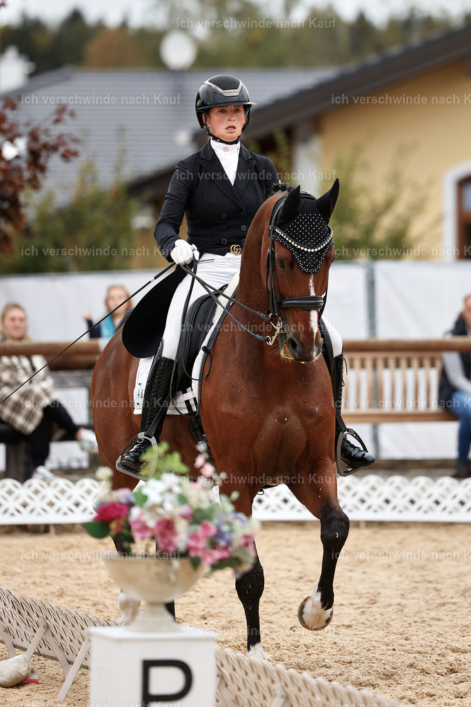 11-048-Dressur S___-StoibPH-1401 | working equitationturnier fotograf videograf stoibphotography marixx film working equitation deutschland reitsport turnierfotografie eventfotografie equestrian events