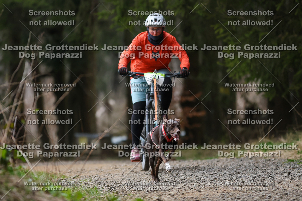 Dog Paparazzi - VCC26-561 | Dog Paparazzi Jeanette Grottendiek Fotografie & Videografie - Realisiert mit Pictrs.com