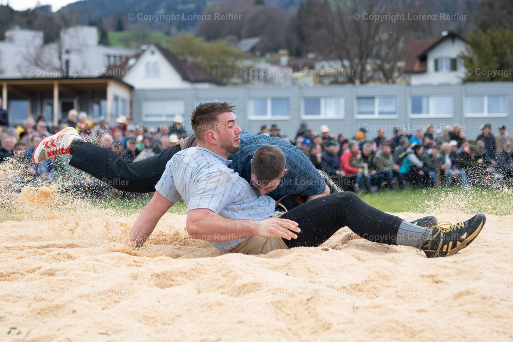 Schwingen -  Rheintal-Oberländer 2023 | Altstätten, 2.4.23, Schwingen - Rheintal-Oberländer.