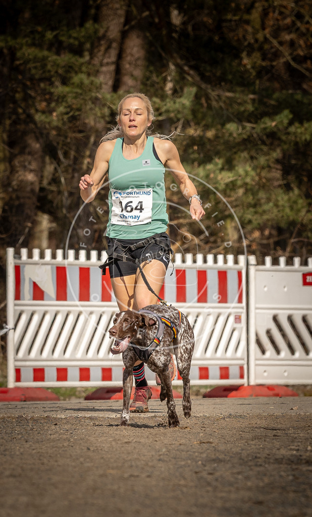 DV3A5589 | Hundefotografie, Tierfotograf, Pfotenfotografie, Fotoshooting Hund, Hunde Portrait, Hundesport, Hundeportraits, Heideshooting, Hunde, Sportfotograf, Hundefotograf, Turnierhundsport, THS,  - Realisiert mit Pictrs.com