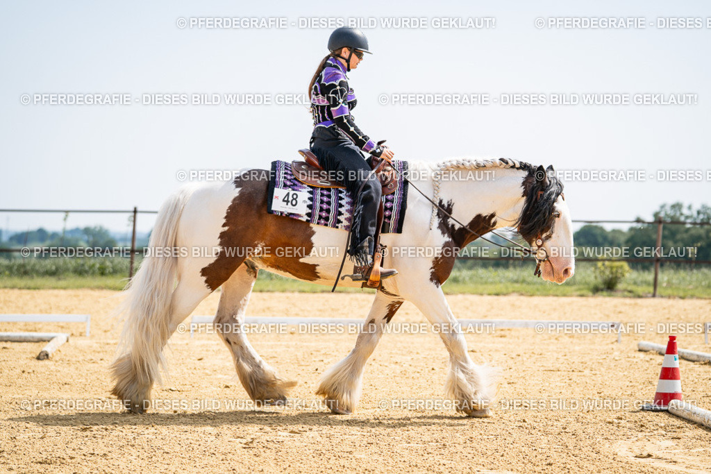 DSC00063 | Pferdegrafie