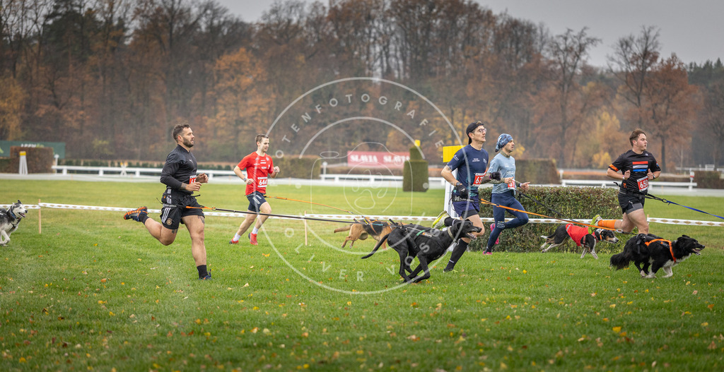 CaniXpix_DV3A9522 | Hundefotografie, Tierfotograf, Pfotenfotografie, Fotoshooting Hund, Hunde Portrait, Hundesport, Hundeportraits, Heideshooting, Hunde, Sportfotograf, Hundefotograf, Turnierhundsport, THS,  - Realisiert mit Pictrs.com