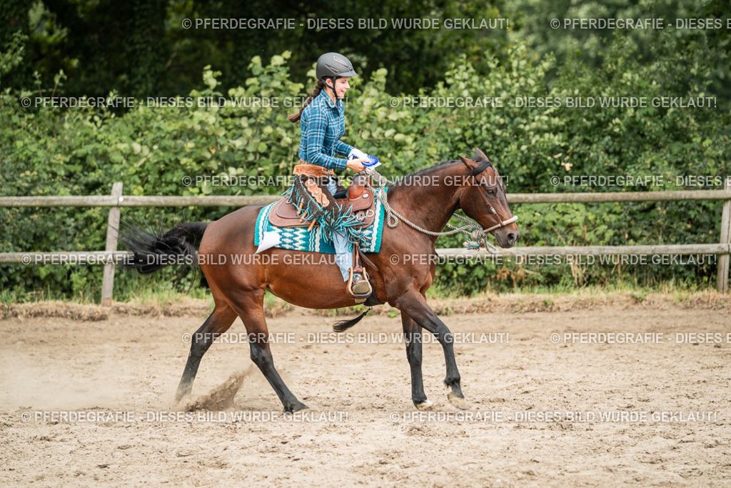 DSC04083 | Pferdegrafie