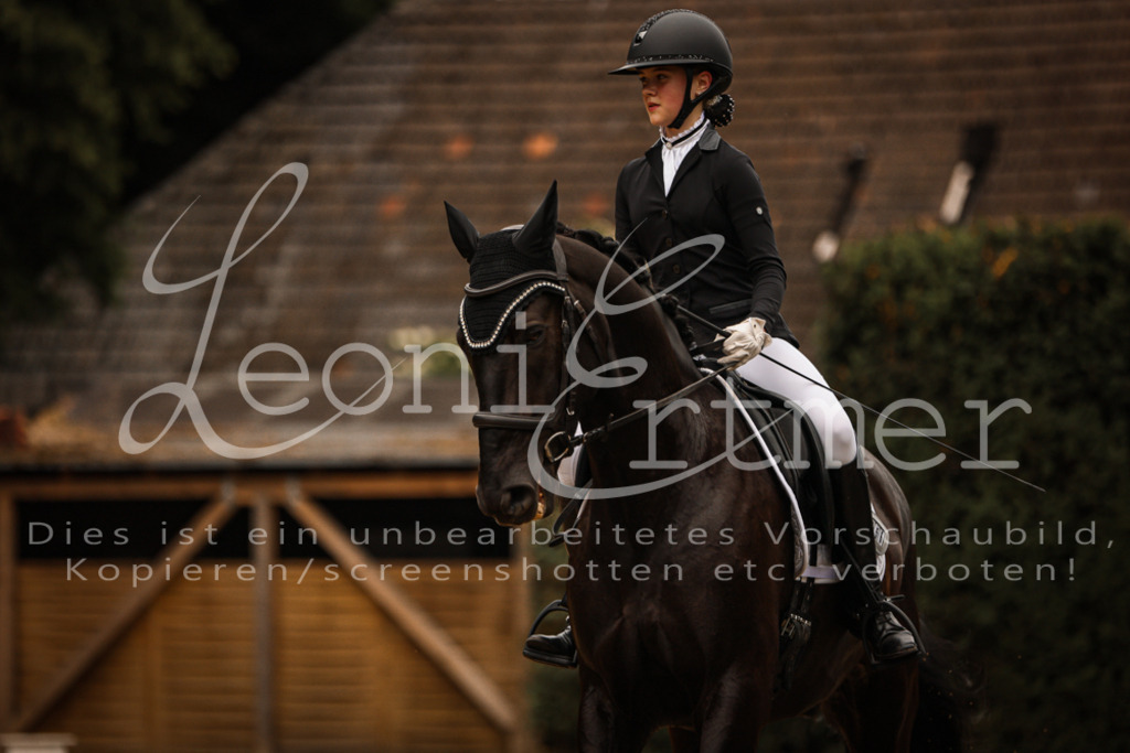 DoDrE00204 | Leoni Ertmer Photography - Realisiert mit Pictrs.com