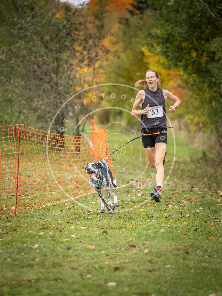 Pfotenfotografie_DV3A2529 | Hundefotografie, Tierfotograf, Pfotenfotografie, Fotoshooting Hund, Hunde Portrait, Hundesport, Hundeportraits, Heideshooting, Hunde, Sportfotograf, Hundefotograf, Turnierhundsport, THS,  - Realisiert mit Pictrs.com