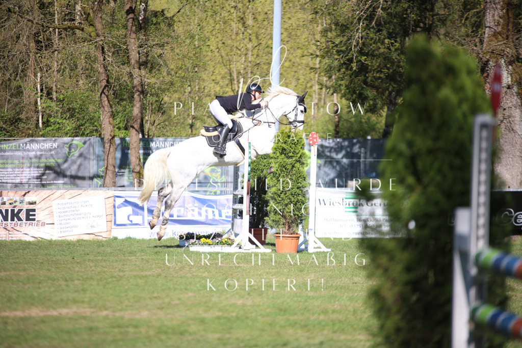 IMGT0173 | pl-fotografie