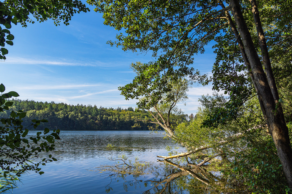 Seeblick mit Bäumen am Pipersee bei Salem | Seeblick mit Bäumen am Pipersee bei Salem.