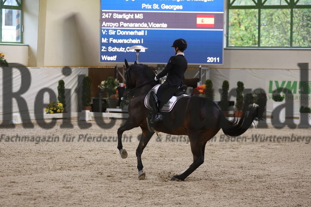 Gut Ising_2023_Prfg.Nr.08_Prix St.Georges_Vincente Arroyo Penaranda_Starlight MS (13) | Alle Fotos der Reiterjournal Fotografin Doris Matthaes im Reiterjournal Online-Fotoshop. - Realisiert mit Pictrs.com