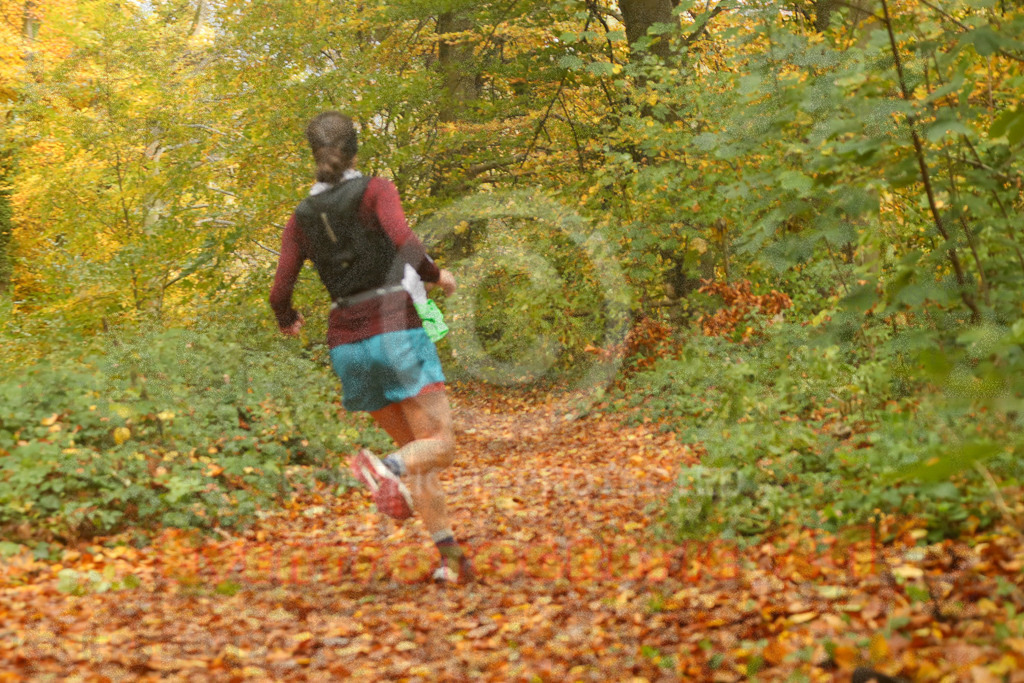 251026_1236_EX2_6014 | Eventfotografie 24Sport- und Eventfotografie