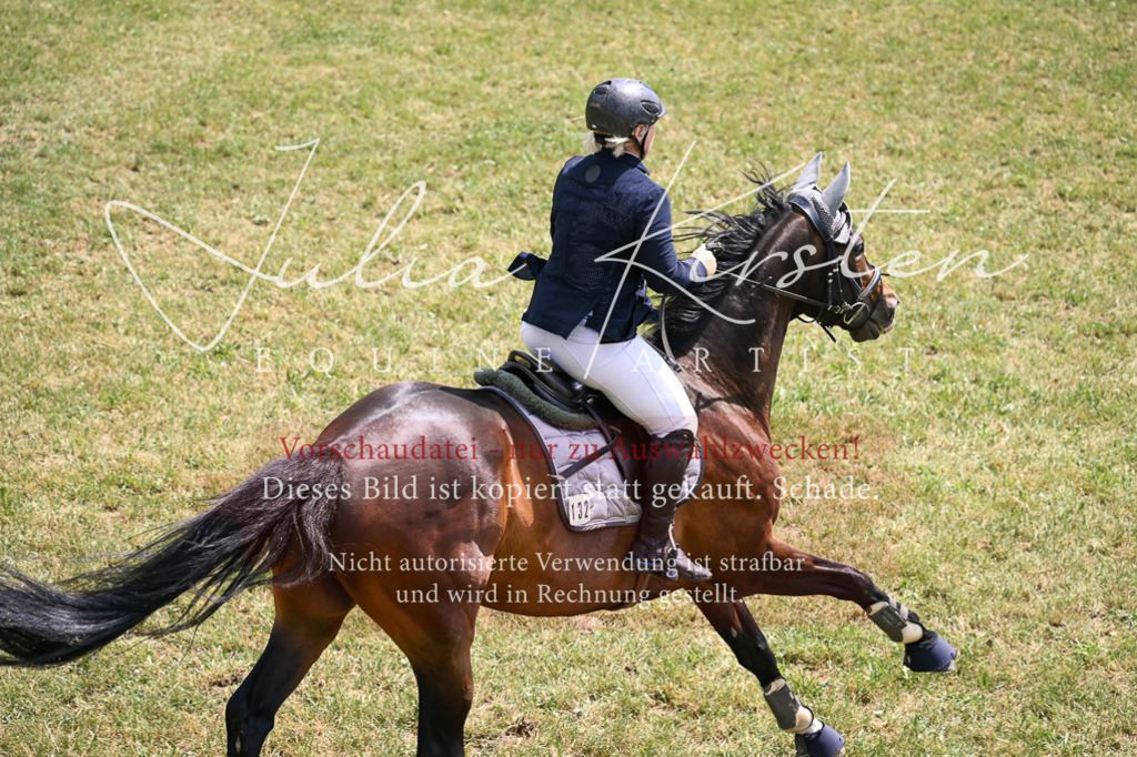 DSC_9744 | Pferde- und Turnierfotografie in Westsachsen. Pferdeportraits, Auftragszeichnungen und intuitive Kunst.