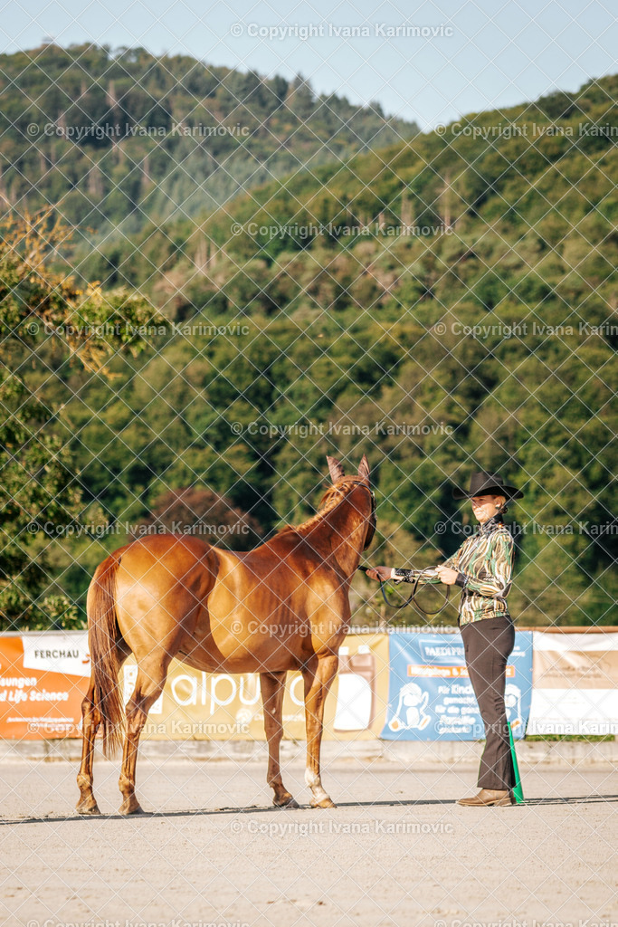 DSC05145 | ikphotography - Realisiert mit Pictrs.com