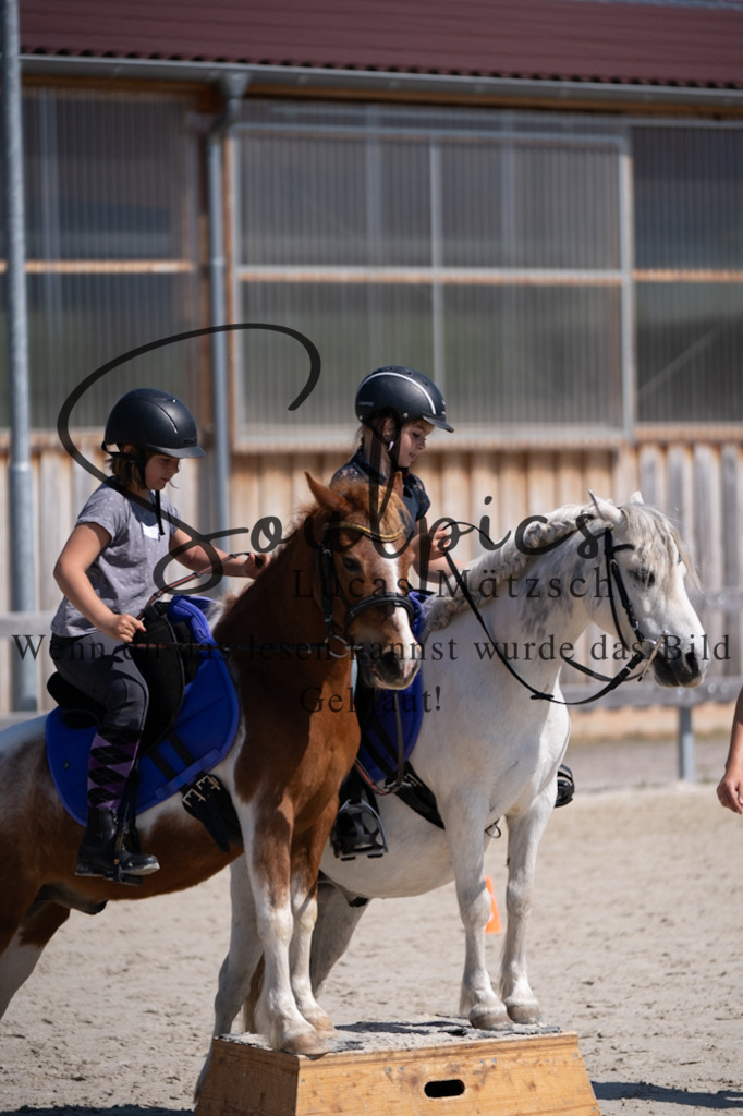 A7V01806 | Pferdefotograf