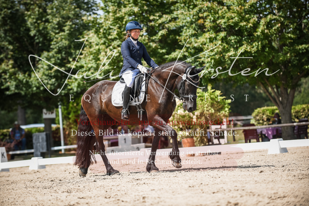 DSC_9174 | Pferde- und Turnierfotografie in Westsachsen. Pferdeportraits, Auftragszeichnungen und intuitive Kunst.