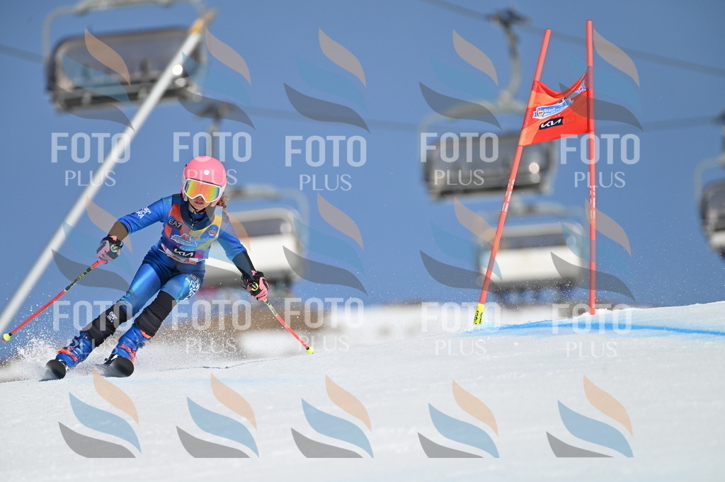 BGV_8214 | holidayphoto