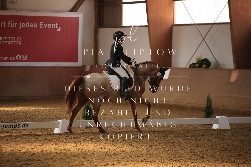 IMGT8312 | pl-fotografie