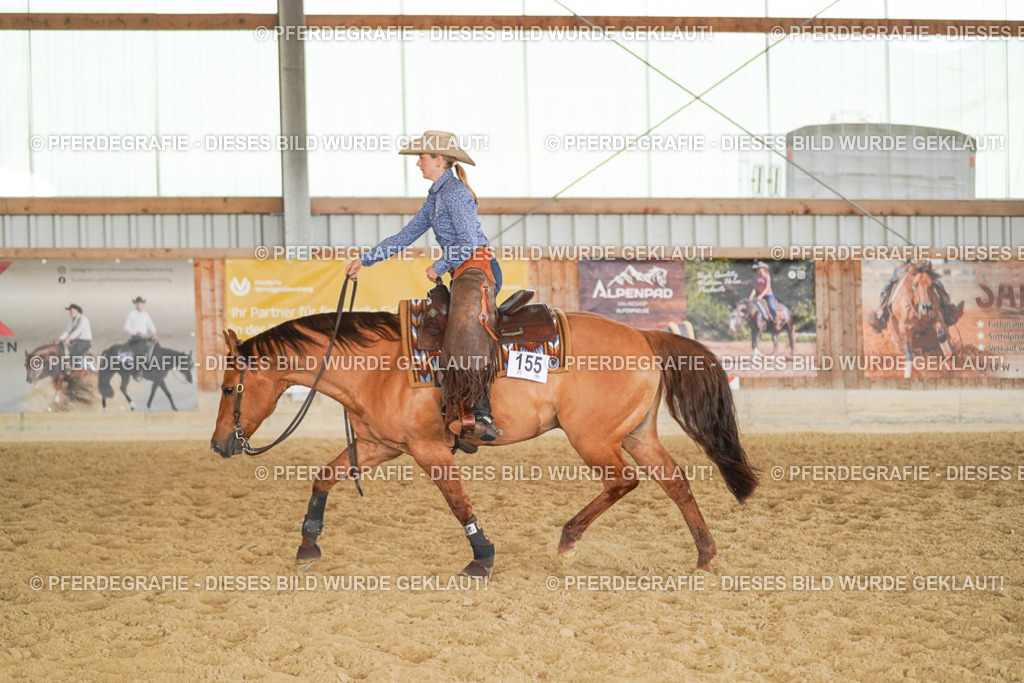 DSC01567 | Pferdegrafie