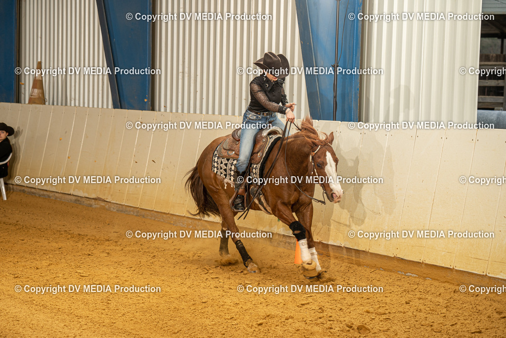 MIT00581 | dv-media-shop - Realisiert mit Pictrs.com