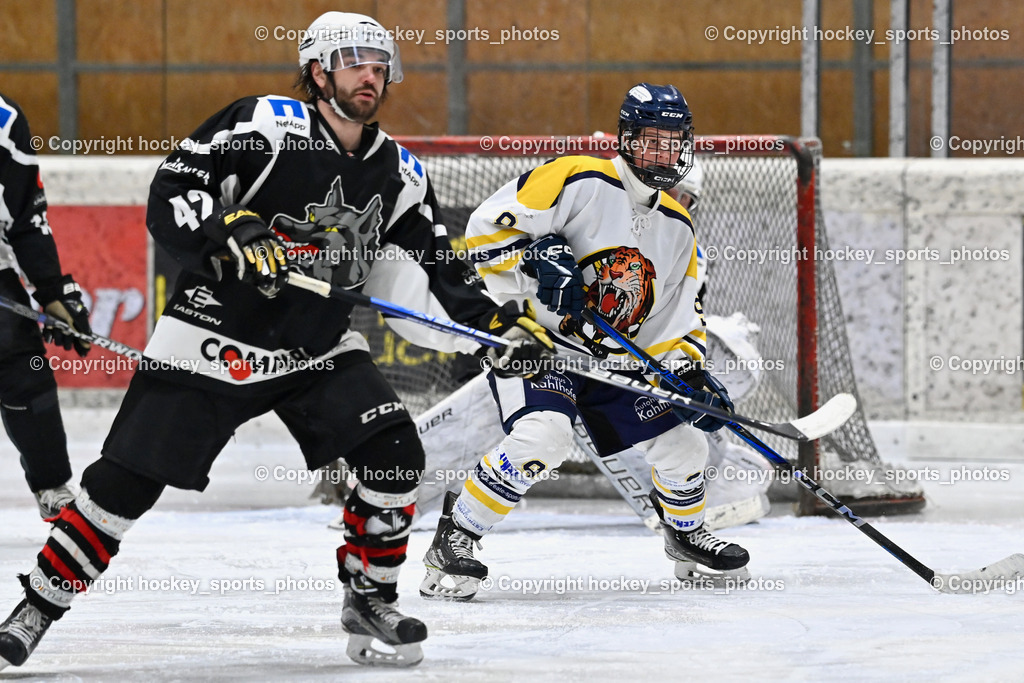 EC Tigers Paternion vs. Tarco Wölfe II | #42 Miklauc Felix Tarco Wölfe II, #9 Gratzer Julian EC Tigers Paternion, EC Tigers Paternion vs. Tarco Wölfe II, EC Tigers Paternion vs. Tarco Wölfe II am 19.12.2024 in Spittal an der Drau (Eissportzentrum Spittal), Austria, (Photo by Bernd Stefan)