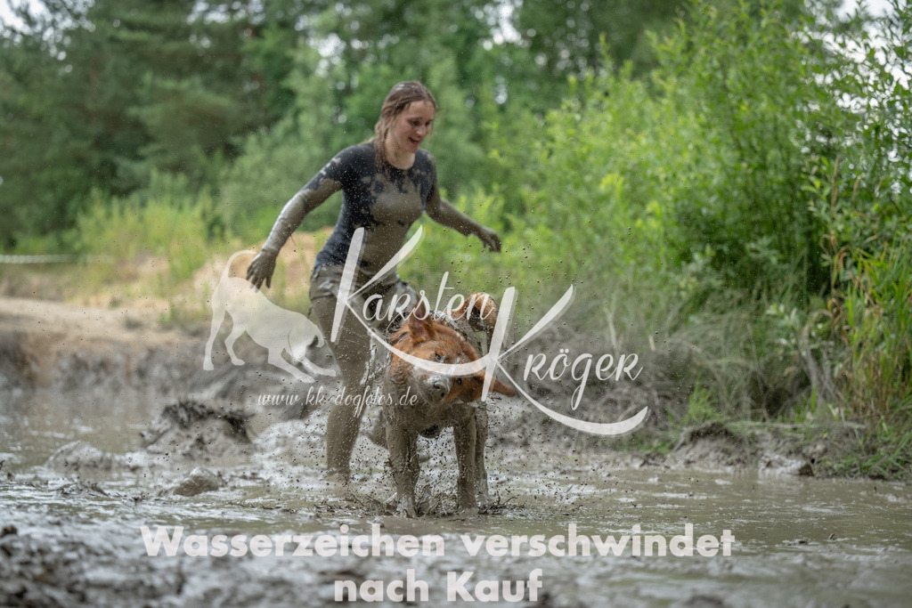 1550_ZZ91503 | kk-dogfotos