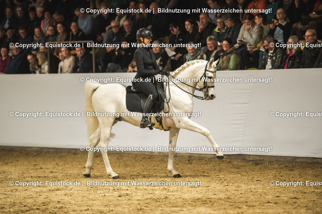 20240302_Hengstvorstellung_Marbach_TOMsPiC_1123 | equistock
