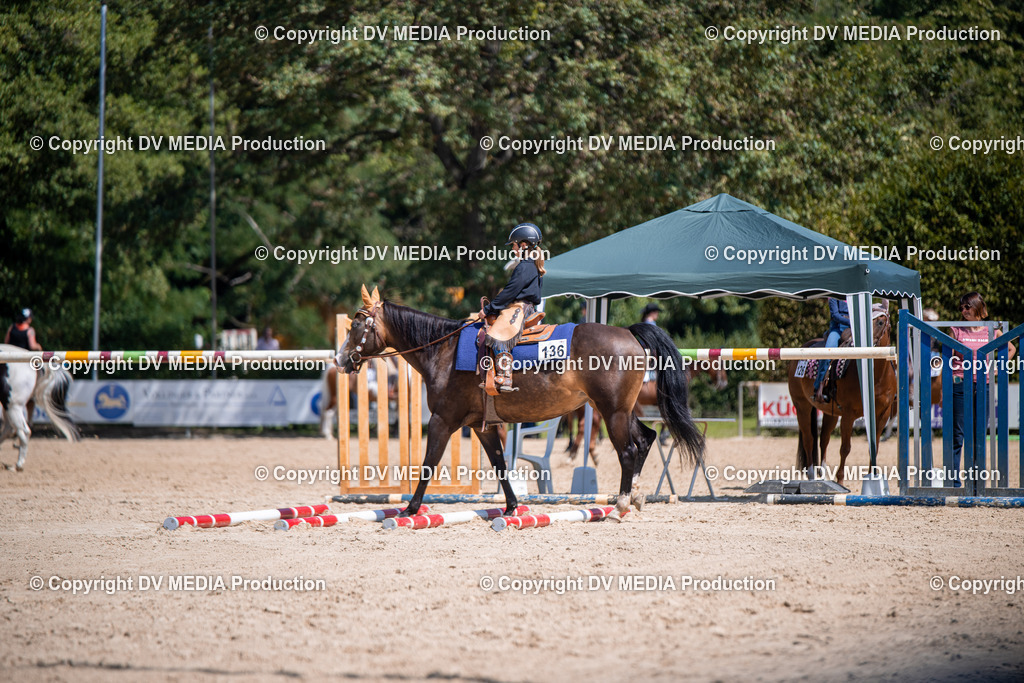 ZS1_1234 | dv-media-shop - Realisiert mit Pictrs.com