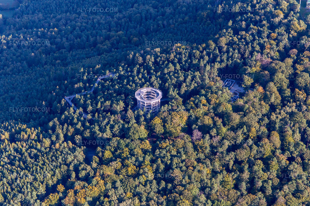 Aerial view: Treetop Walkway Alsace in Cleebourg in the state Bas-Rhin, France.Photo: IMG_138942.jpg taken on 09/24/2023 by Werner Riehm/FLY-FOTO.comResolution of the original: 4907 x 3271 pxden Baumwipfelpfaden der Erlebnis Akademie AG!