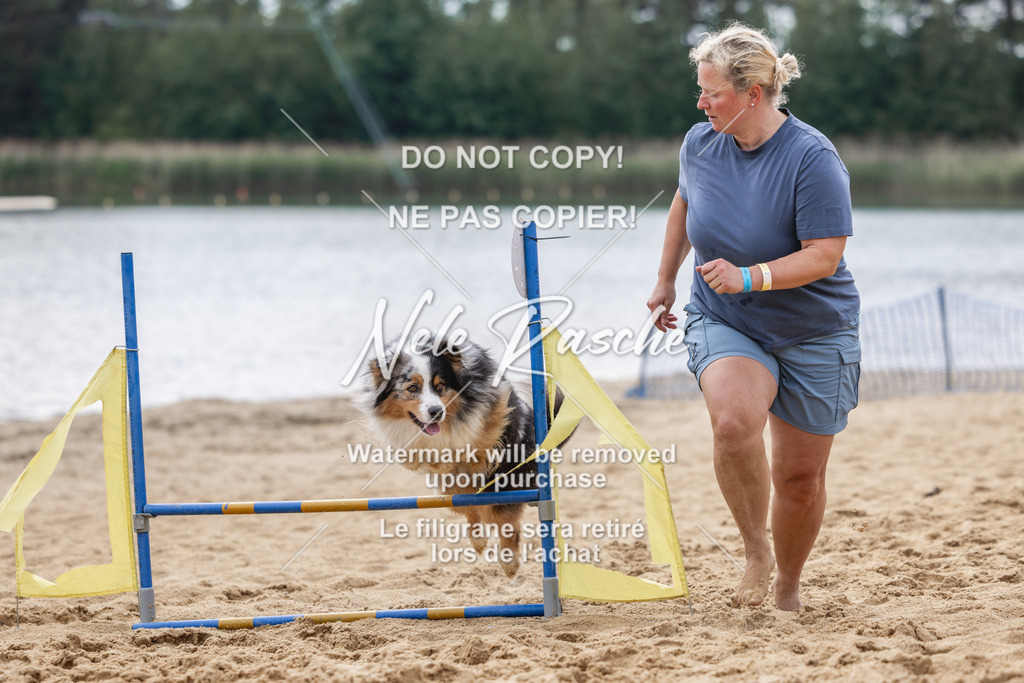nelerasche_BuHu2026_So1530-Ende_168 | nelerasche