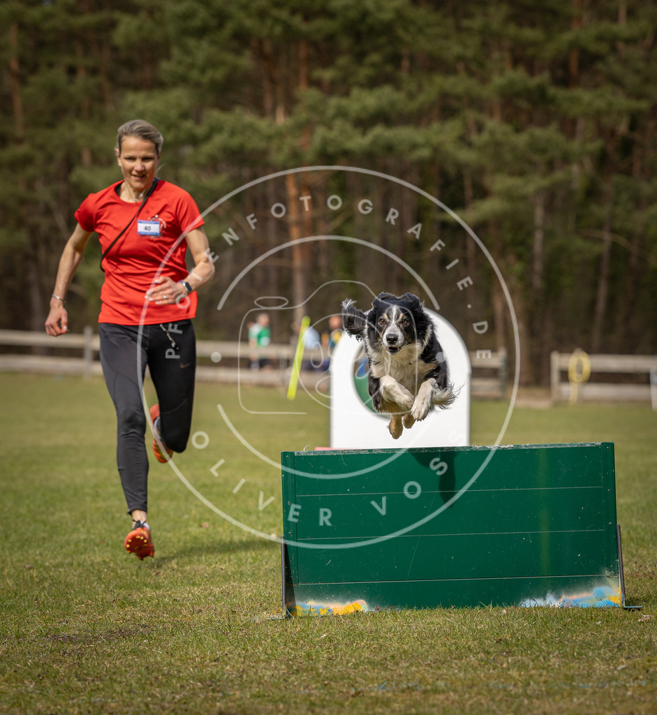 Pfotenfotografie_DV3A8682 | Hundefotografie, Tierfotograf, Pfotenfotografie, Fotoshooting Hund, Hunde Portrait, Hundesport, Hundeportraits, Heideshooting, Hunde, Sportfotograf, Hundefotograf, Turnierhundsport, THS,  - Realisiert mit Pictrs.com