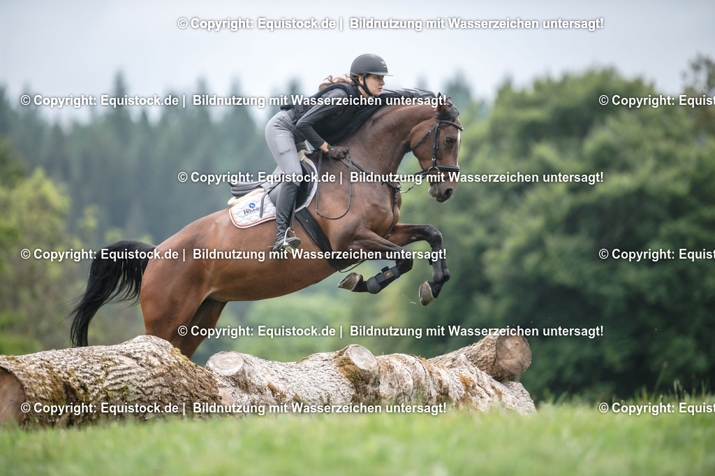 20250726_Vielseitigkeitslehrgang-Marbach_0792 | Foto: Thomas Hartig