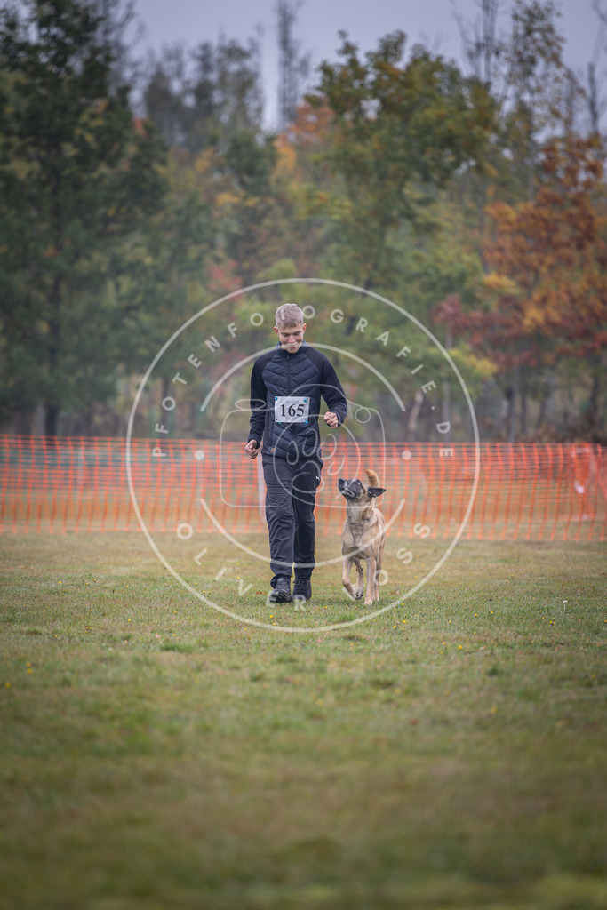 Pfotenfotografie_DV3A8904 | Hundefotografie, Tierfotograf, Pfotenfotografie, Fotoshooting Hund, Hunde Portrait, Hundesport, Hundeportraits, Heideshooting, Hunde, Sportfotograf, Hundefotograf, Turnierhundsport, THS,  - Realisiert mit Pictrs.com