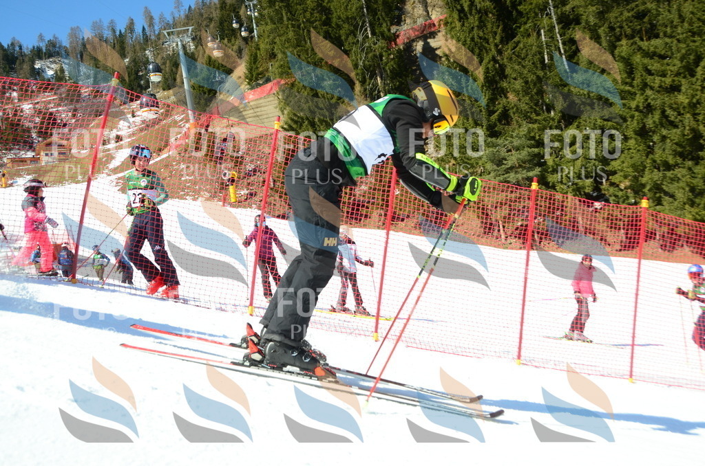 C6725 | holidayphoto