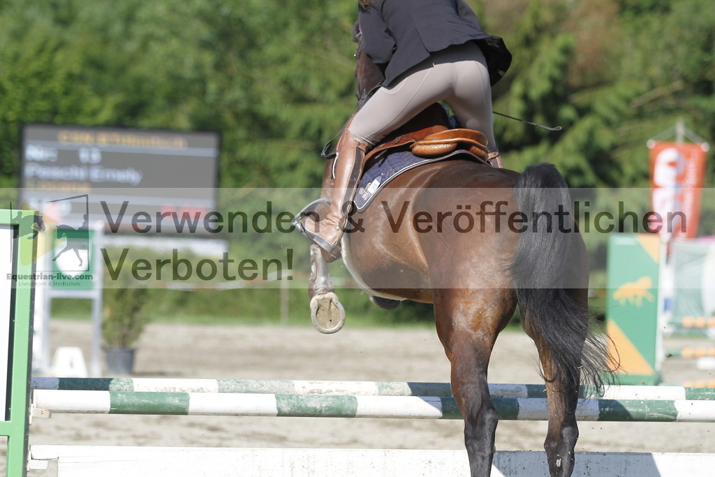_MG_8095 | equestrian-live-com