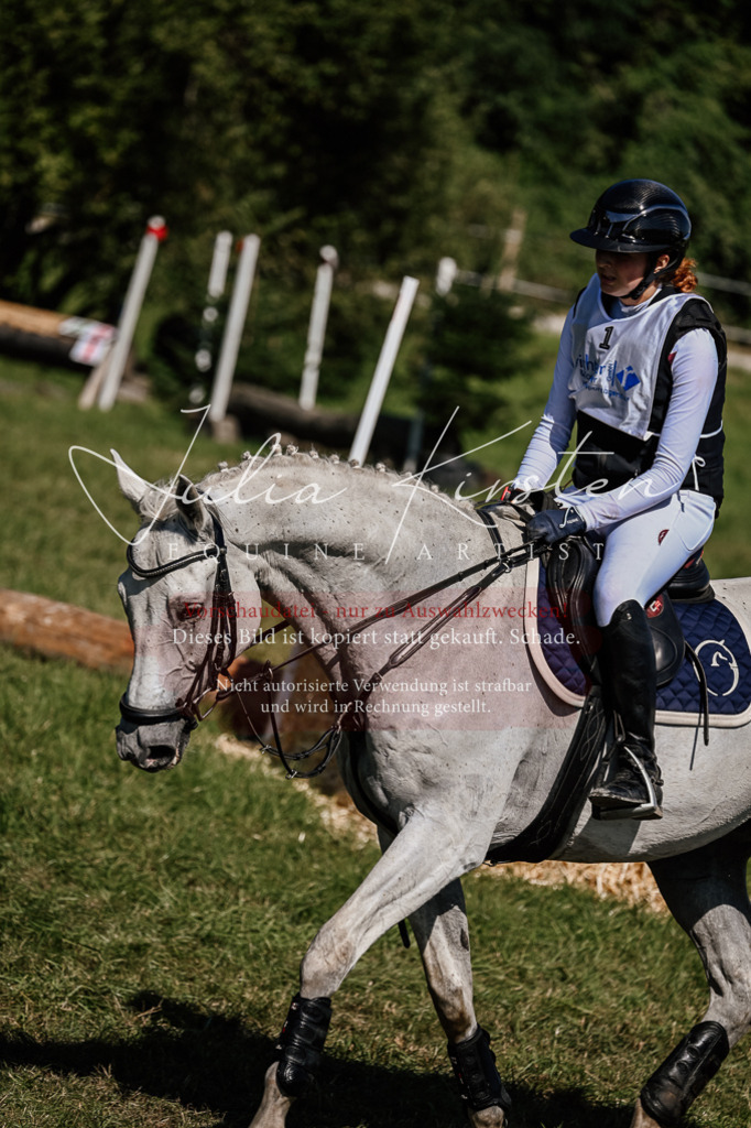 DSC_2059 | Pferde- und Turnierfotografie in Westsachsen. Pferdeportraits, Auftragszeichnungen und intuitive Kunst.