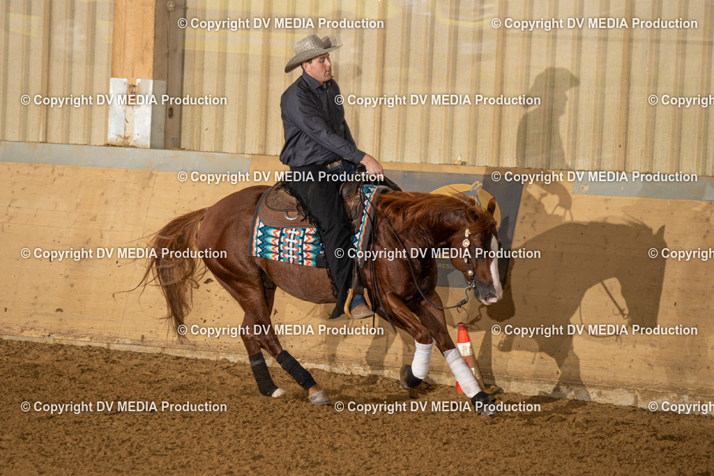 LAU01024 | dv-media-shop - Realisiert mit Pictrs.com