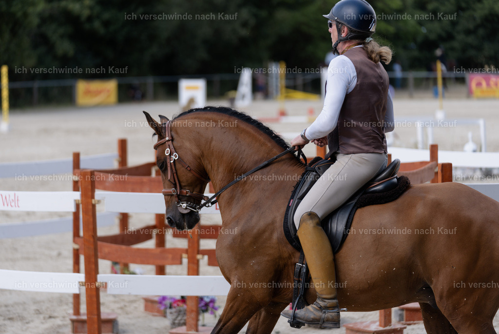 WS_SP_62_SinaFilmArt_IN08110 | working equitationturnier fotograf videograf stoibphotography marixx film working equitation deutschland reitsport turnierfotografie eventfotografie equestrian events