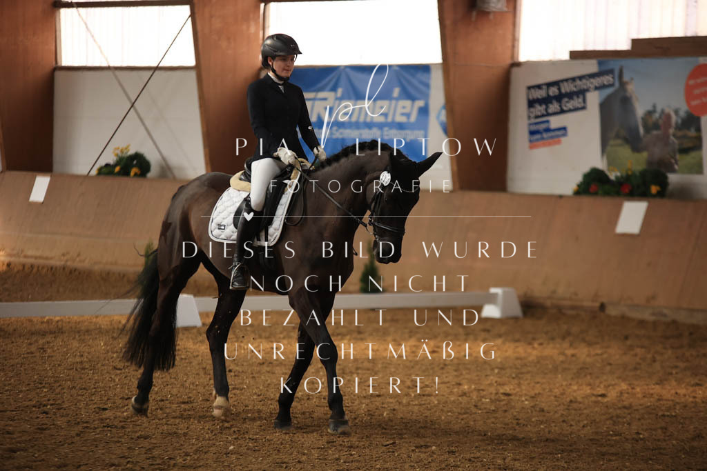 IMGT7384 | pl-fotografie