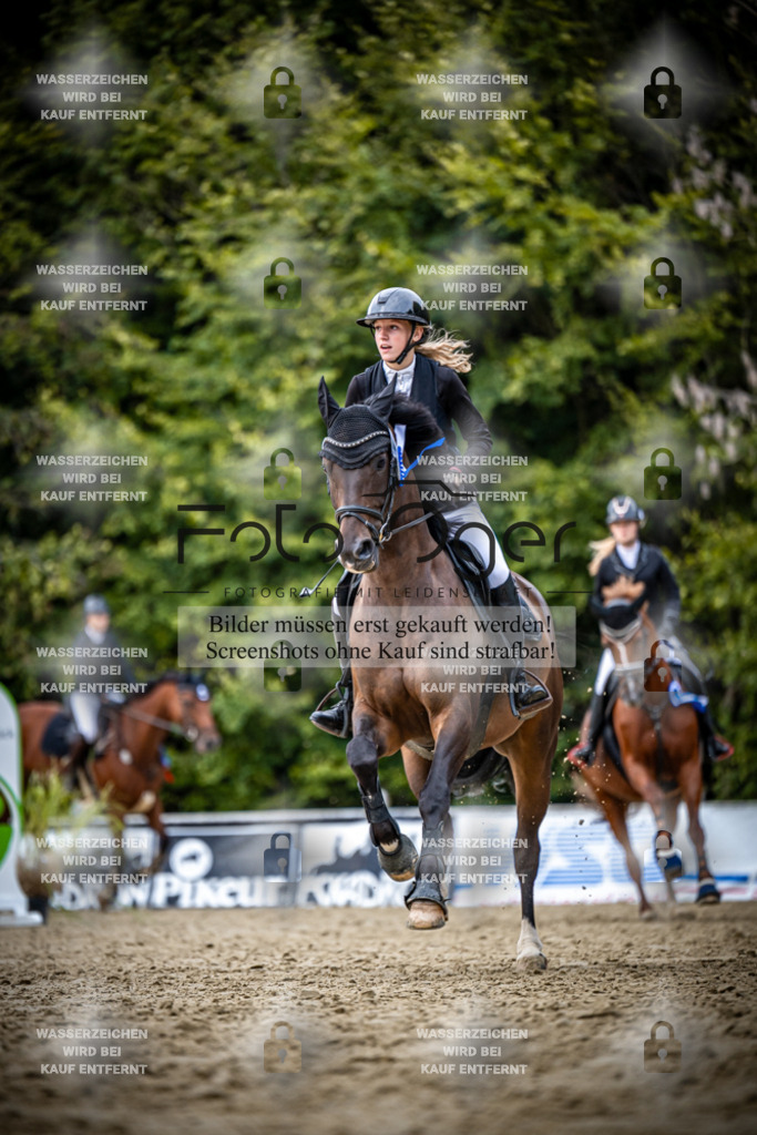 2026-09---Waldhof-11-0050 | Entdecke hochwertige Reitturnierfotos von Foto Oger. Professionell, emotional und authentisch – jetzt Lieblingsmomente im Shop bestellen.Deutschlandweite Turnierfotografie. - Realisiert mit Pictrs.com
