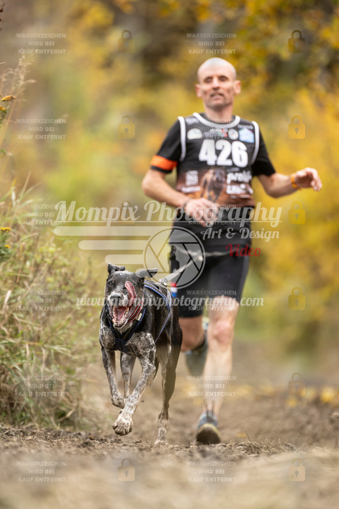 MompixPhotography_ICF_WC_2024_SA_Run_-421 | PayLife