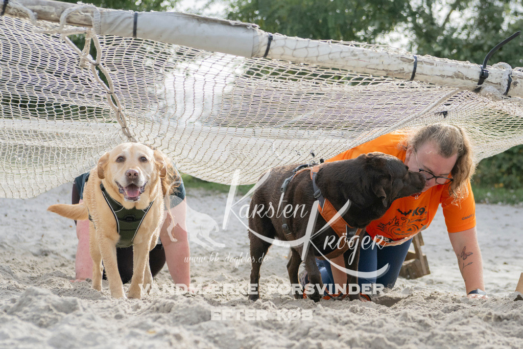 1336_ZZ97924 | kk-dogfotos