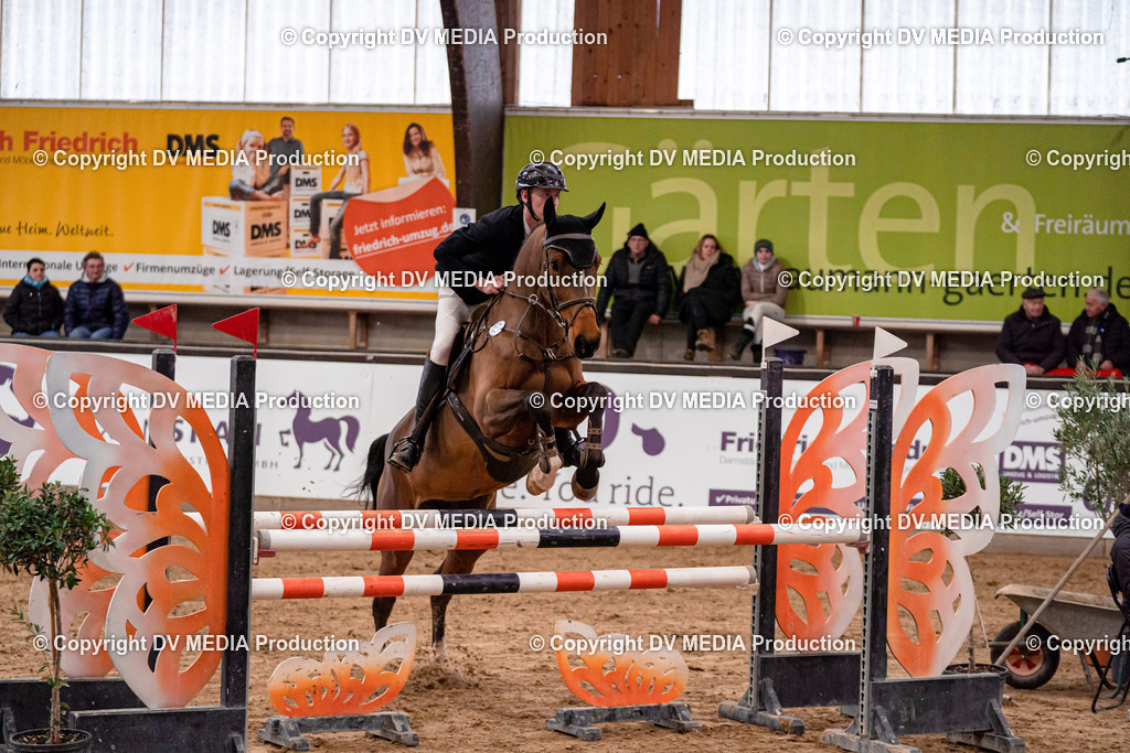 Kranichstein Tag 2-667 | dv-media-shop - Realisiert mit Pictrs.com