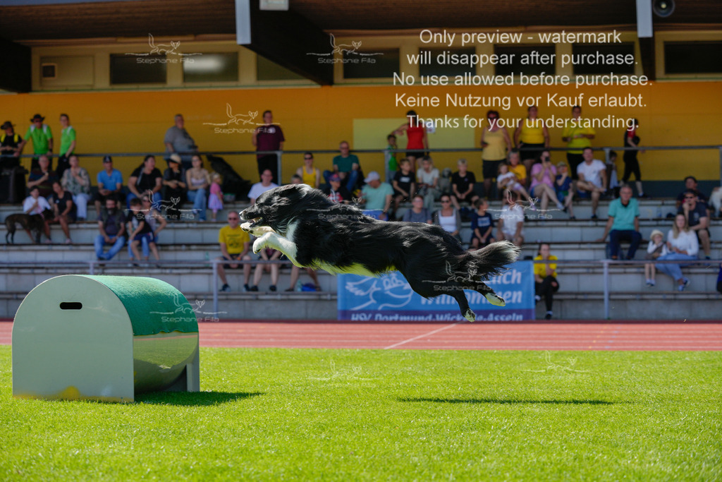 Sonntag_VK Hindernis (542 von 671) | stephaniefillaphotographie - Realisiert mit Pictrs.com