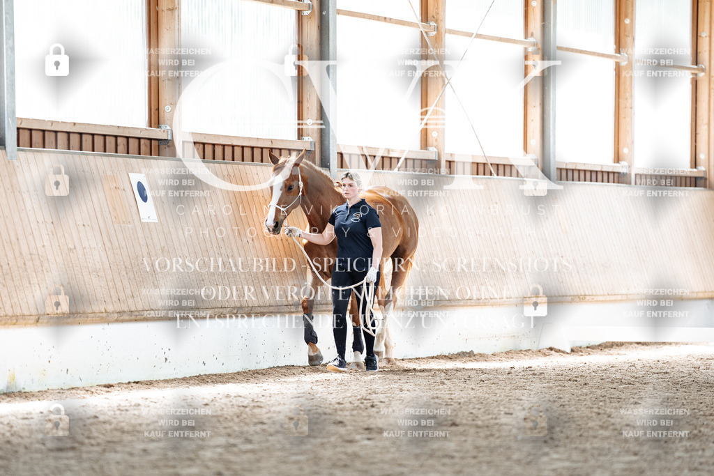 CK907425 | Turnierfotografie Pferdefotografie Trier Rheinland-Pfalz Pferdesport Reitsport Tierfotografie Sportfotografie Pferdevideo Pferdevideografie Equestrianvideography equestrianphotography  - Realized with Pictrs.com