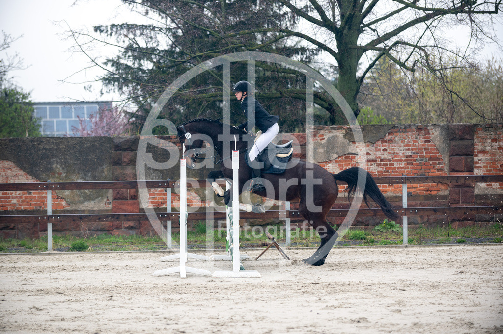 DSC_8989 | sattelsport - Realisiert mit Pictrs.com