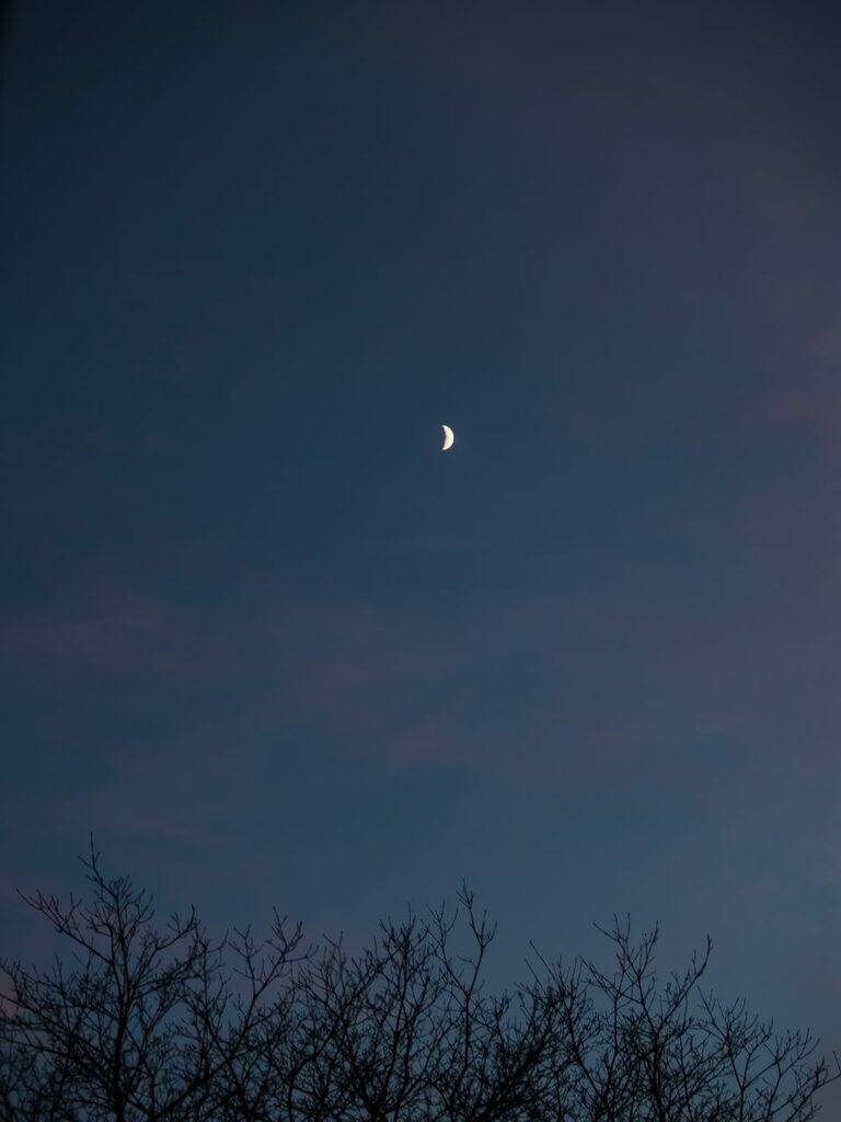 PSX_20221228_225115 | mtkfoto_ - Realisiert mit Pictrs.com