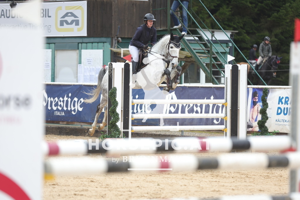 0P6A1106 | Willkommen bei Brunnmayr - Design & Fotografie – Ihrem Spezialisten für Reitturniere und Pferdeveranstaltungen in Oberösterreich, Salzburg und Bayern! Seit über 17 Jahren sind wir leidenschaftlich dabei.