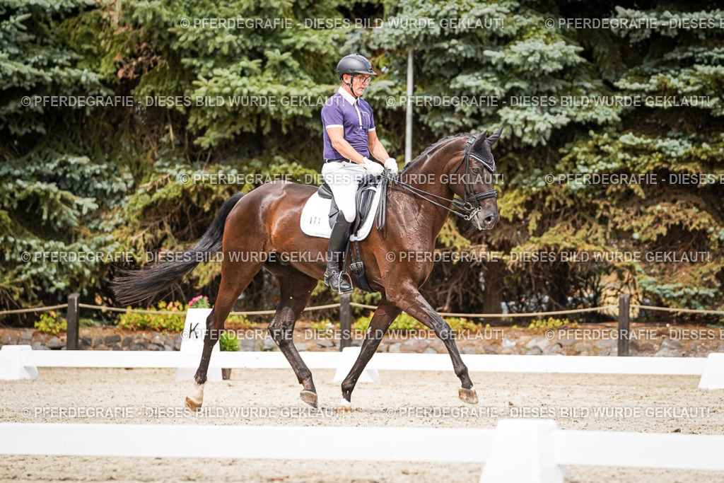 DSC06284 | Pferdegrafie