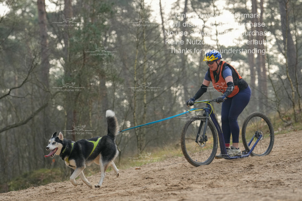 Scooter1-219 | stephaniefillaphotographie - Realisiert mit Pictrs.com