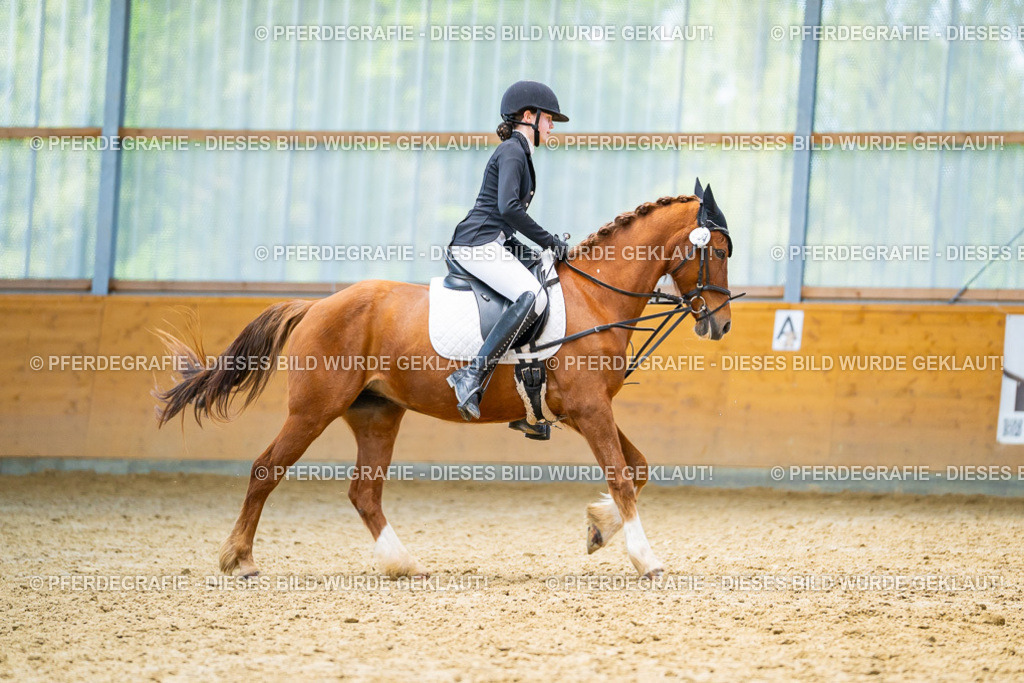 DSC08869 | Pferdegrafie